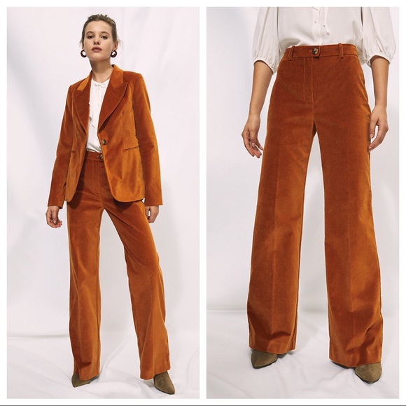 Aritzia Pants - Aritzia Wilfred Velvet Pants